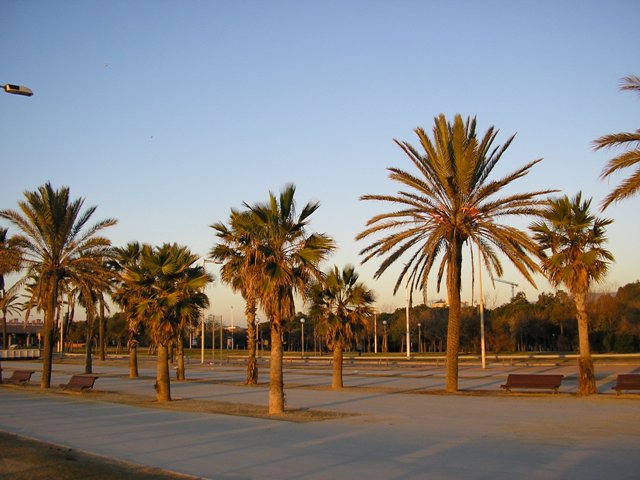 p1130100.JPG
