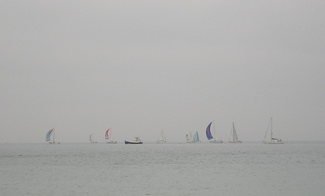 p1140132.JPG