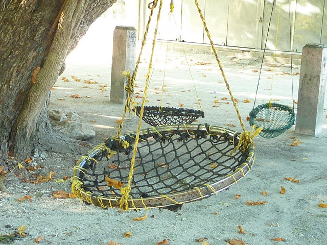 P1150007.JPG