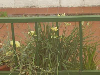 P1180007.JPG
