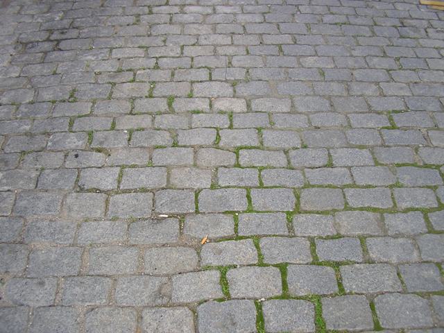 P1190021.JPG
