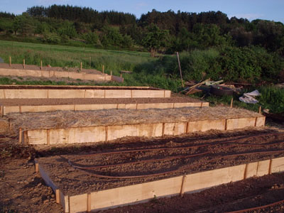 P1190452.JPG