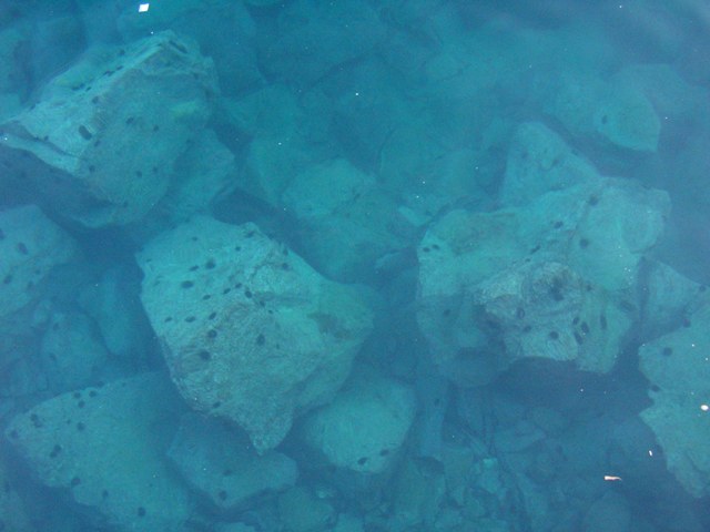 P1200133.JPG