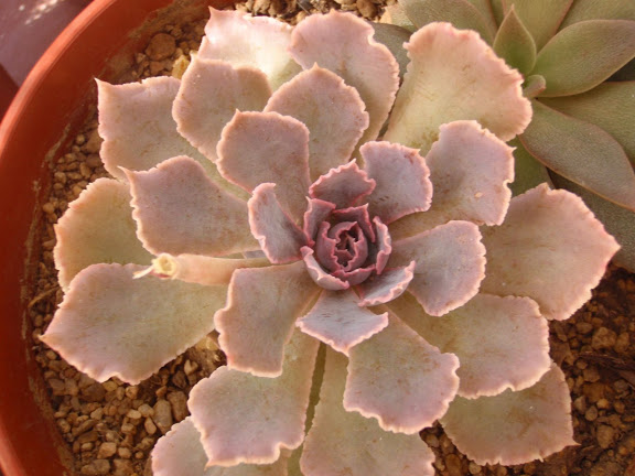 P1232269.JPG