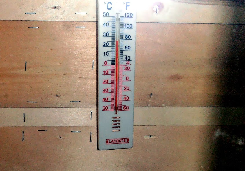 P1290002.JPG
