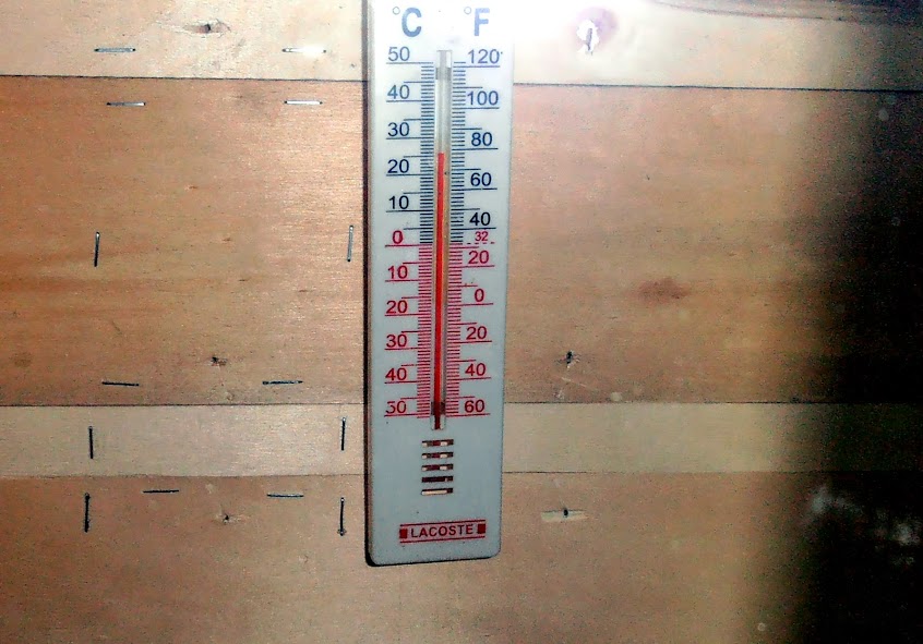 P1290002.JPG
