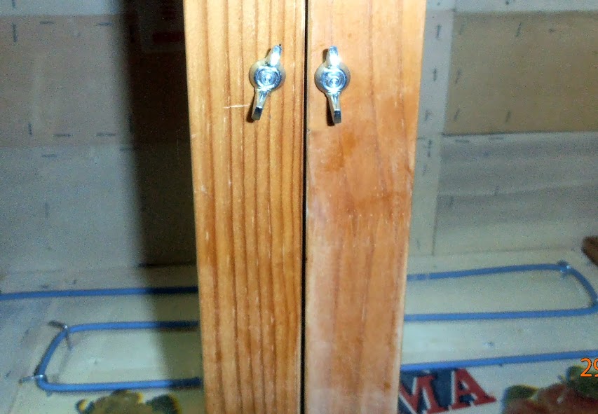 P1290005.JPG