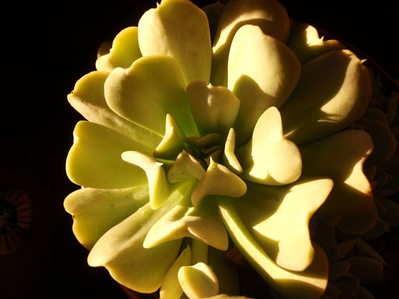 P1292442.JPG