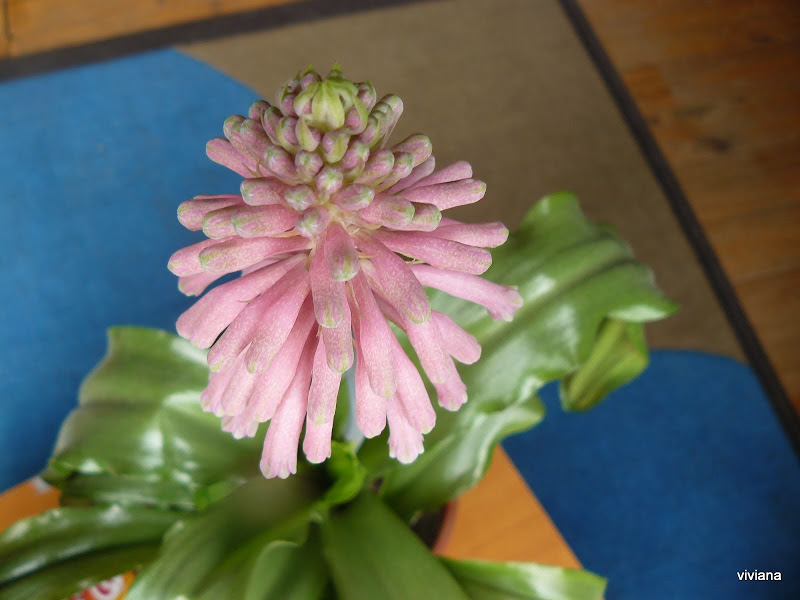 P1320474.JPG