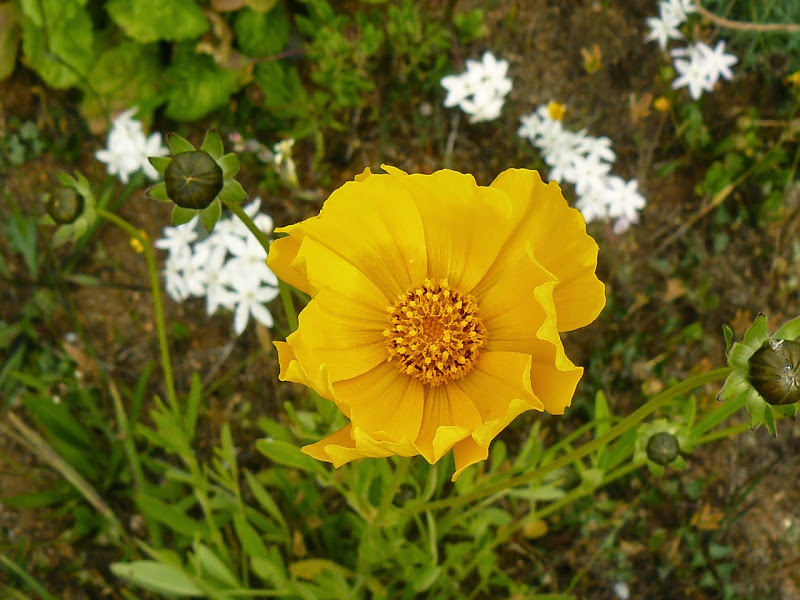P1380299.JPG