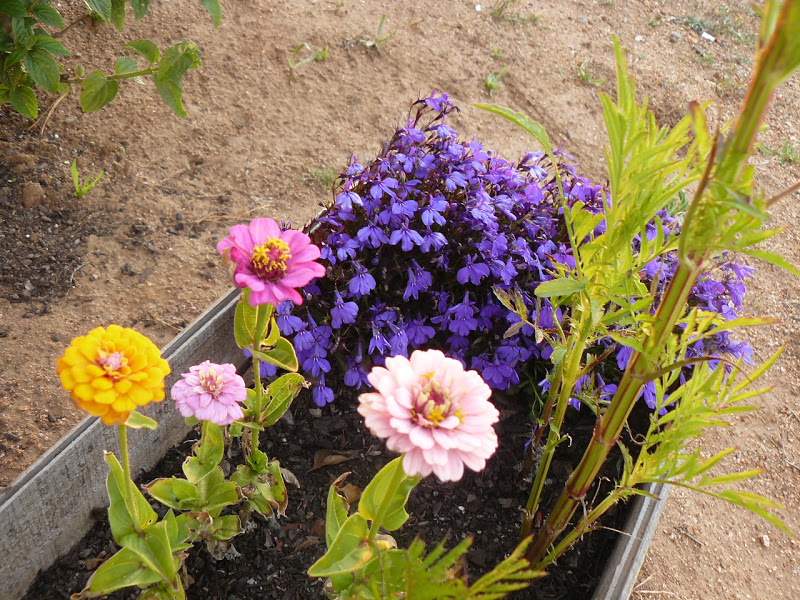 P1390059.JPG