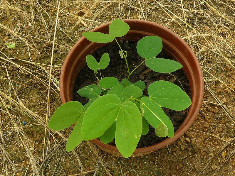 P1390255.JPG