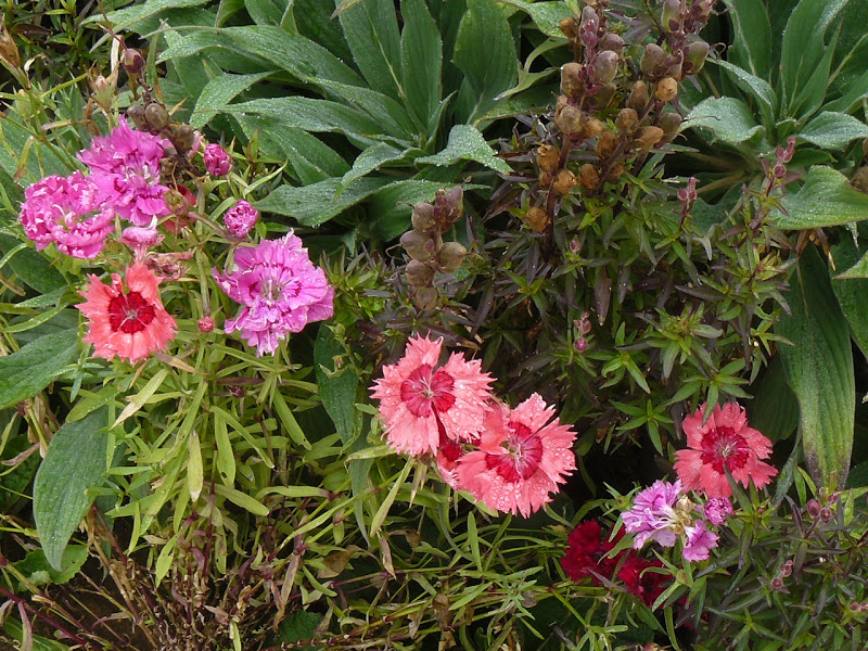 P1390446.JPG
