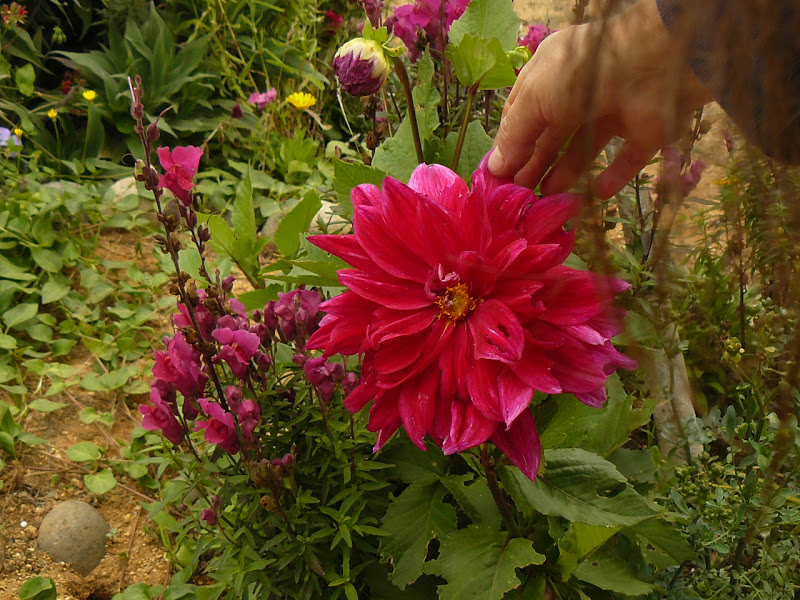 P1390529.JPG