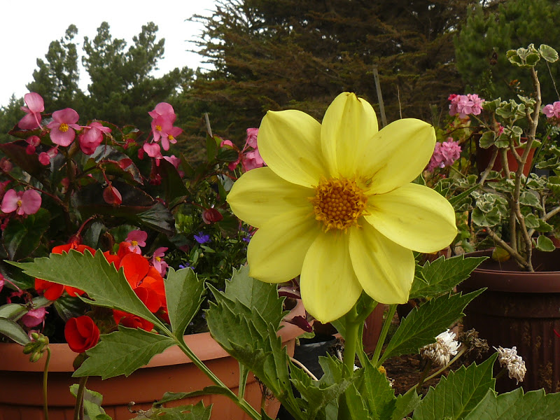 P1390546.JPG