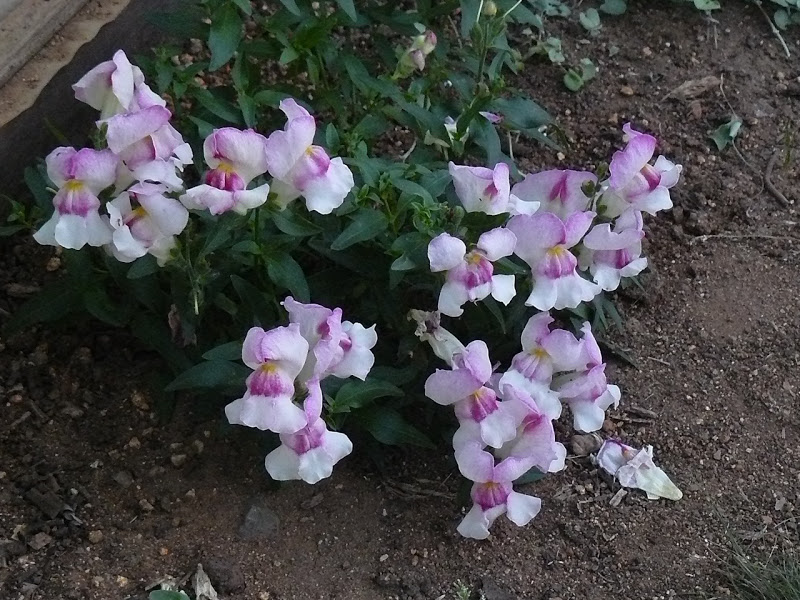 P1390612.JPG