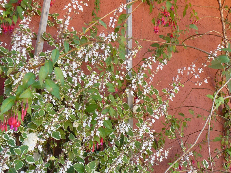 P1390788.JPG