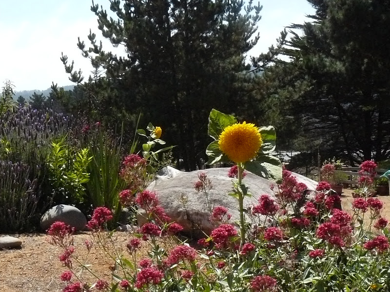 P1400007.JPG