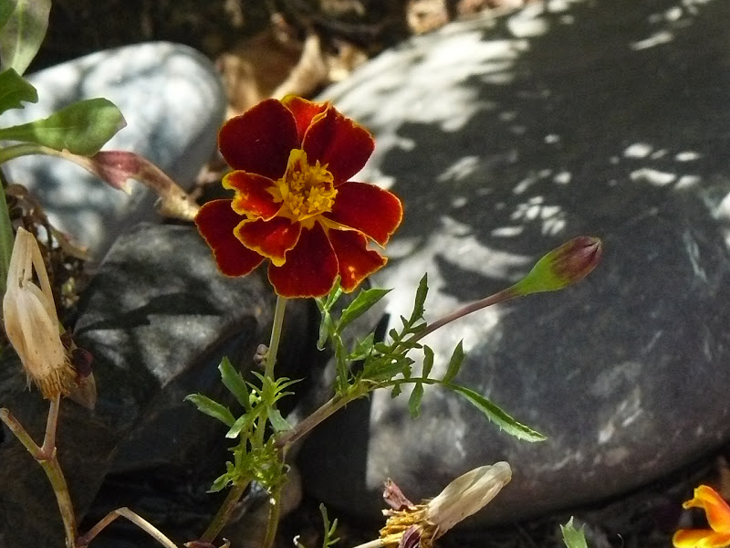 P1400014.JPG