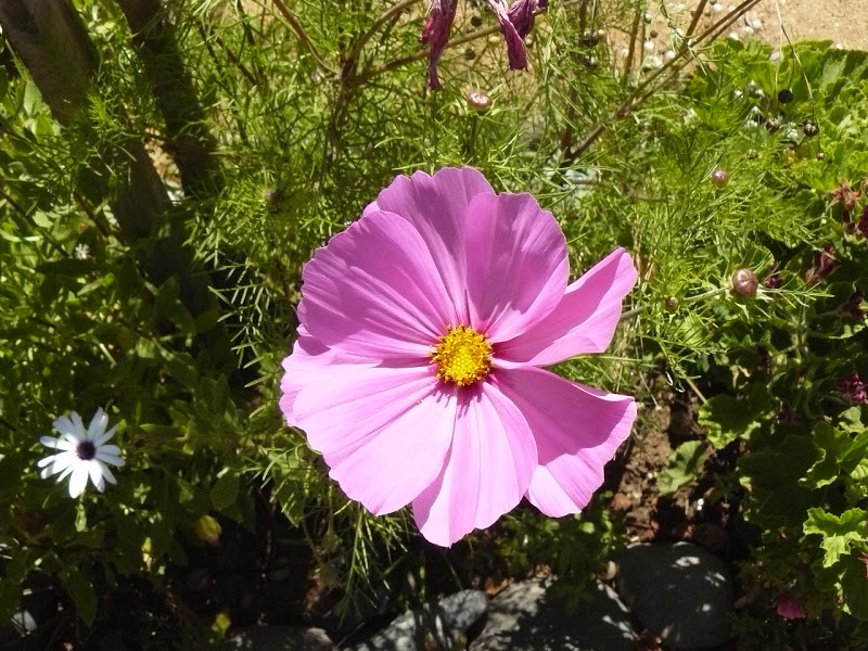 P1400016.JPG