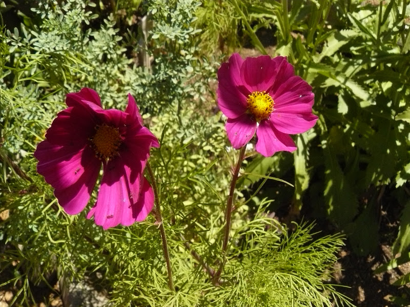 P1400018.JPG