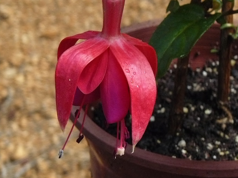 P1400021.JPG