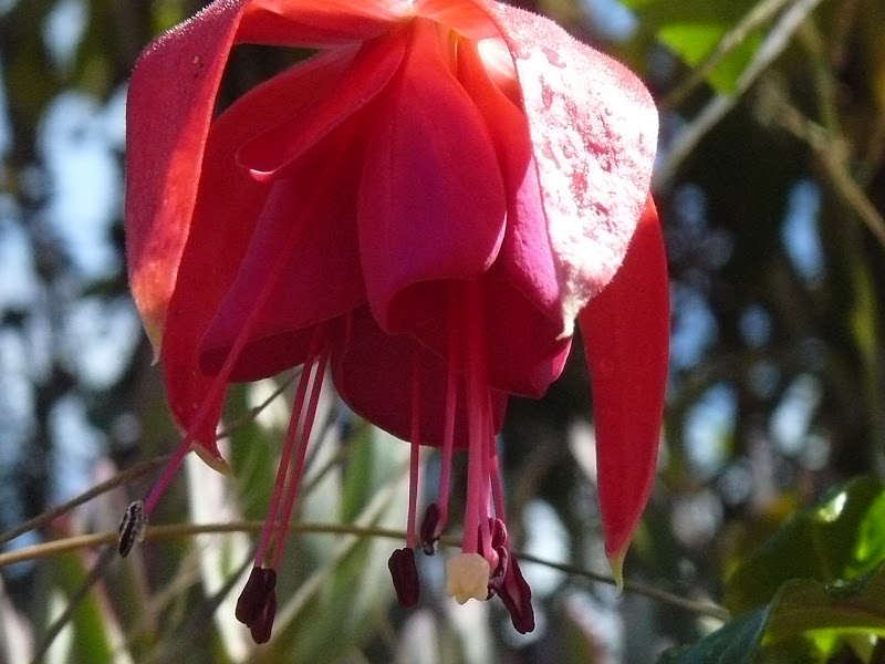 P1400023.JPG