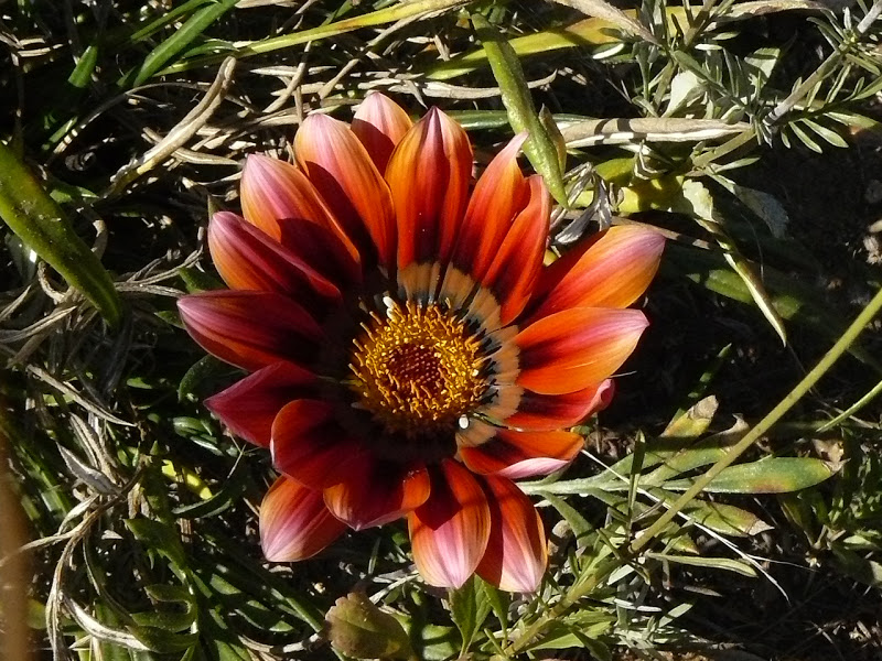 P1400038.JPG