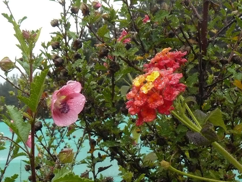 P1400054.JPG