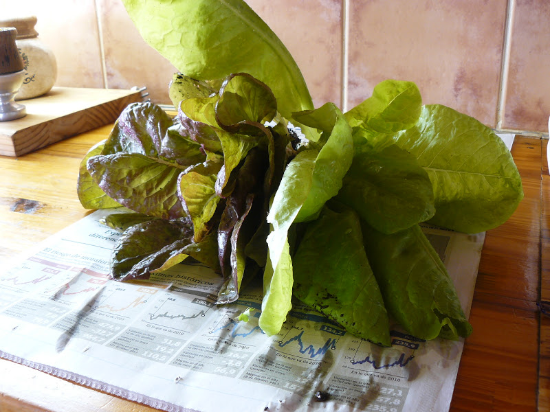 P1400099.JPG