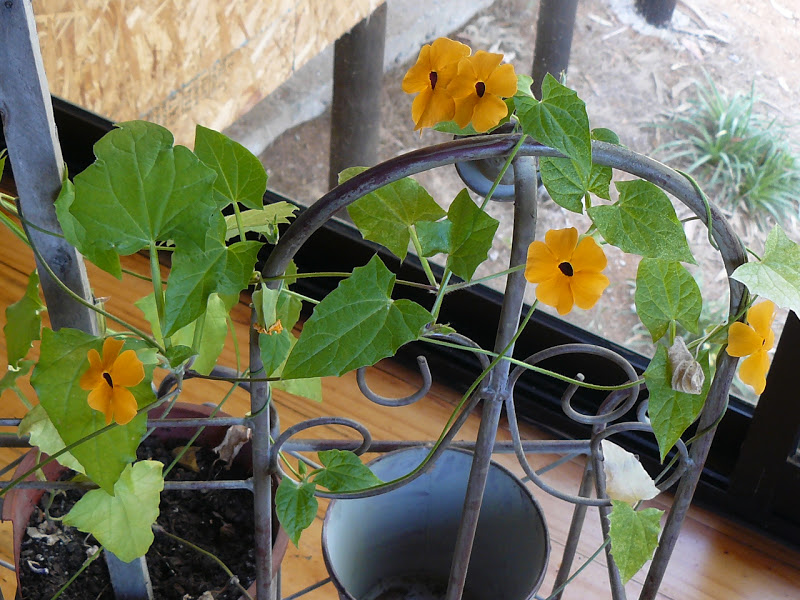 P1400115.jpg