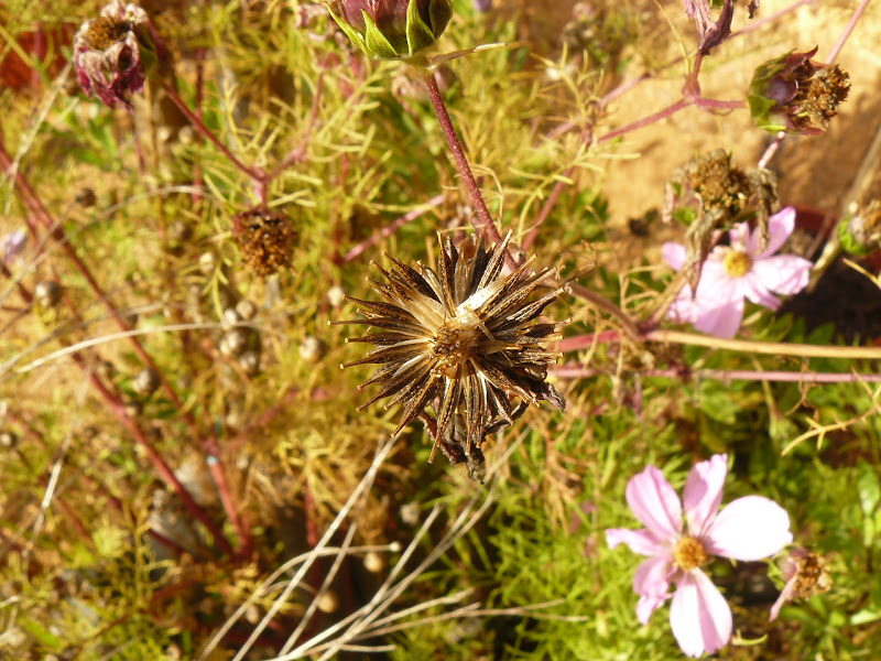 P1410054.JPG