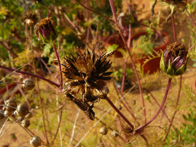 P1410056.JPG