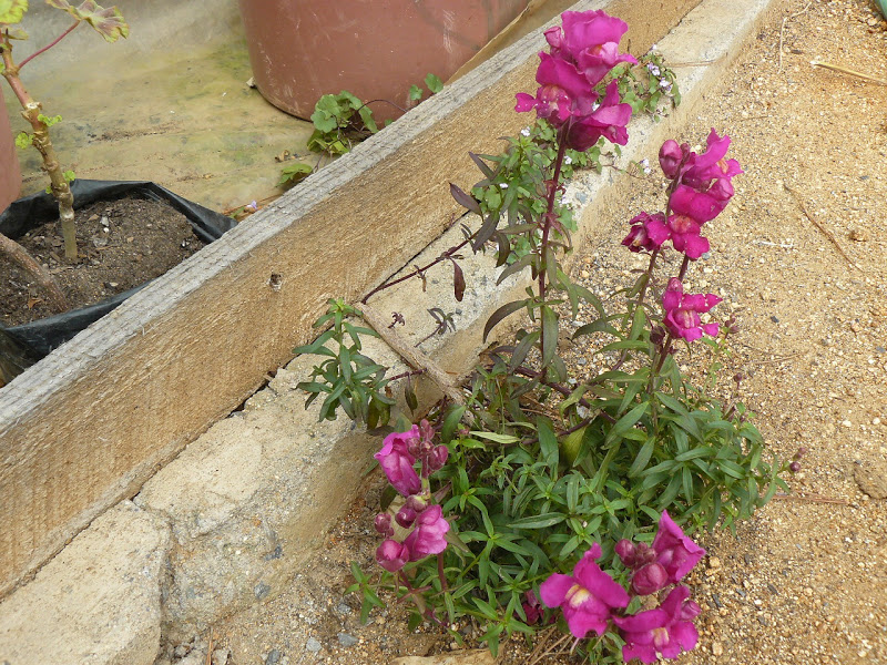 P1410248.JPG