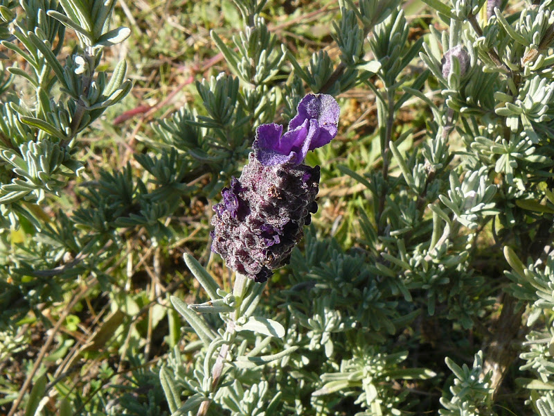 P1410294.JPG