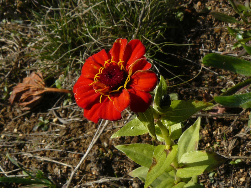 P1410295.JPG
