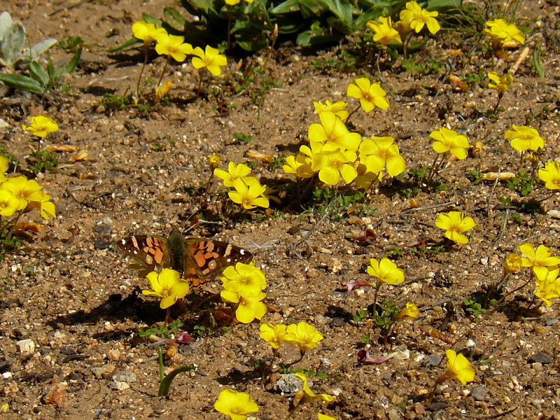 P1410299.JPG