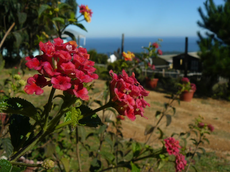 P1410442.JPG