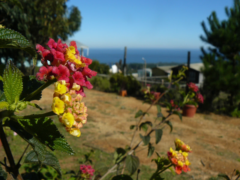 P1410444.JPG