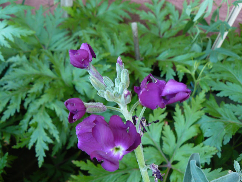 P1410460.JPG