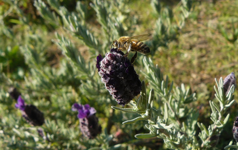 P1410557.JPG