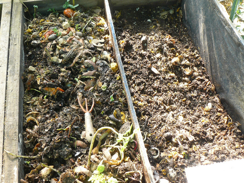 P1410630.JPG