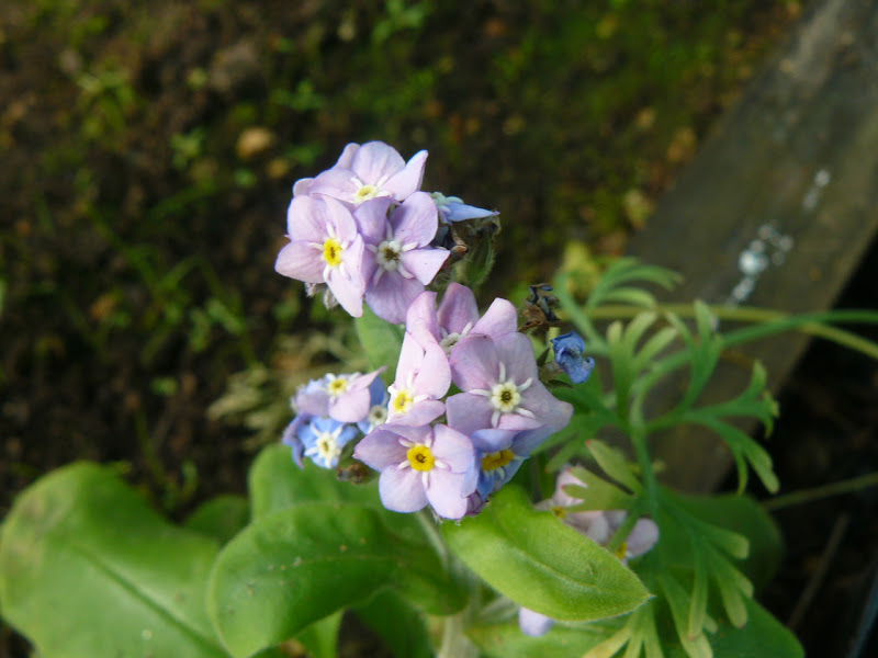 P1410637.JPG