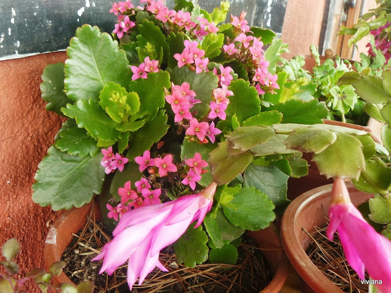 P1410755.JPG