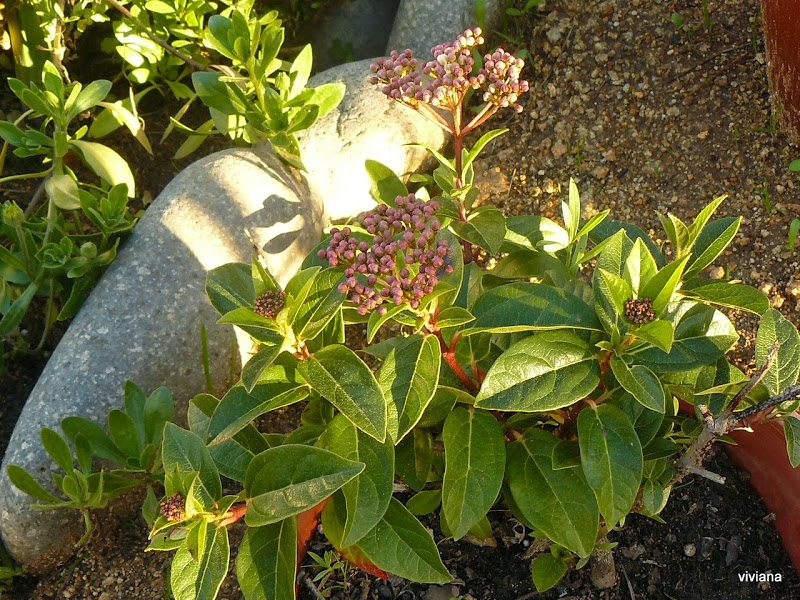 P1410846.JPG