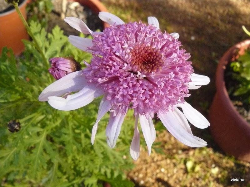 P1410930.JPG