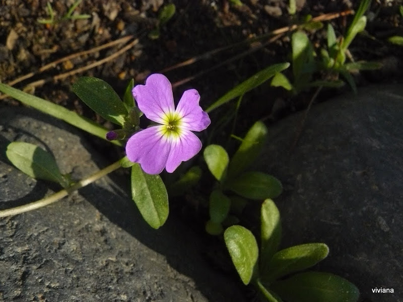 P1410937.JPG