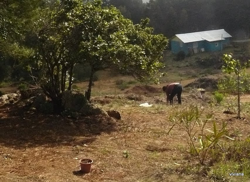 P1410987.JPG