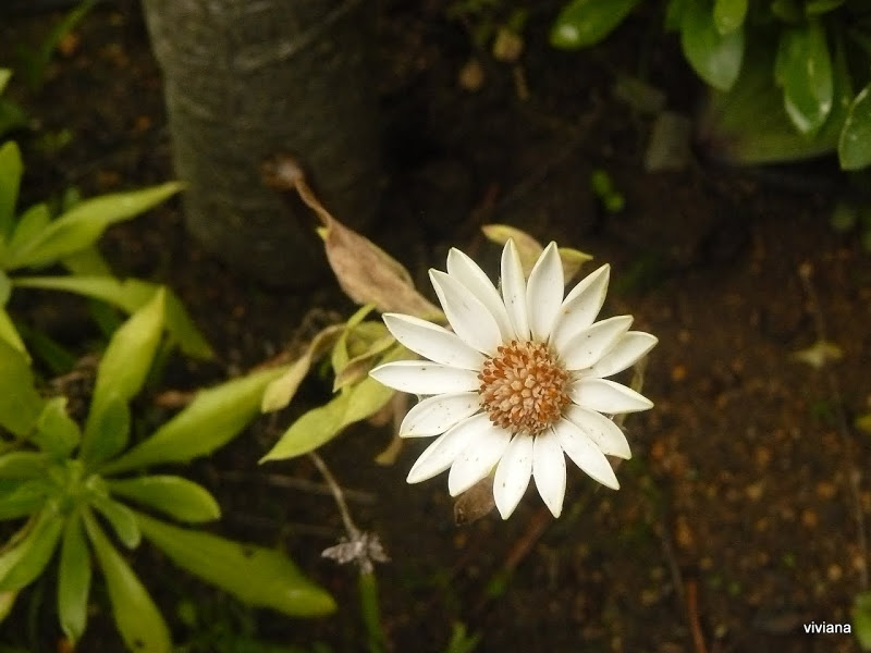 P1420001.JPG