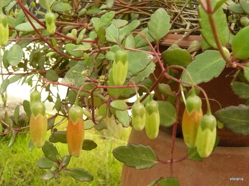 P1420010.JPG
